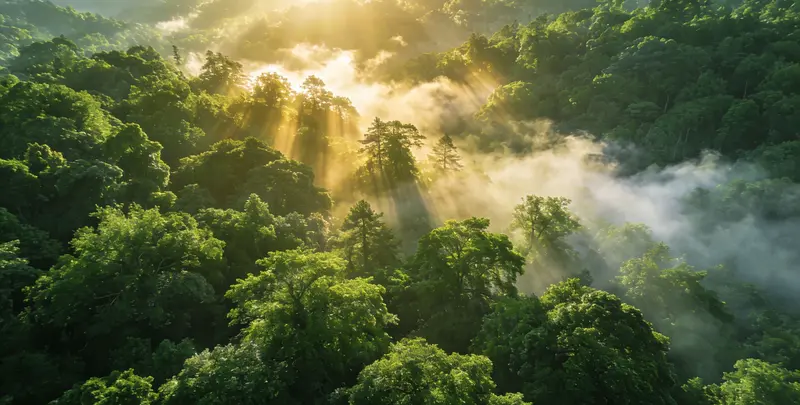 咸宁肺癌（EGFR T790M)突变检测图片1
